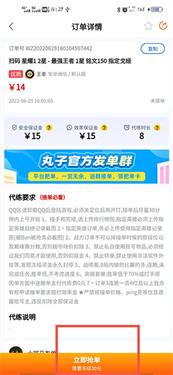 代练丸子打手版