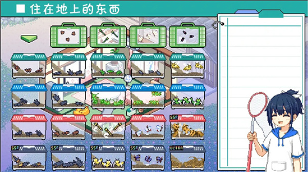 寻找夏日的宝物汉化版截图1