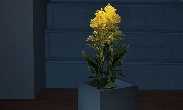 结局攻略截图15