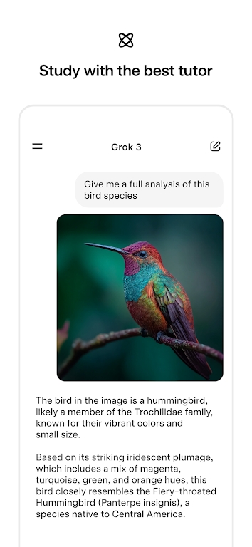 Grok中文版截图3