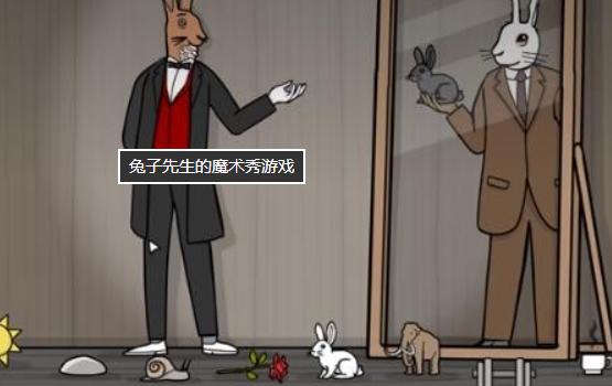 the Mr.rabbit magic show
