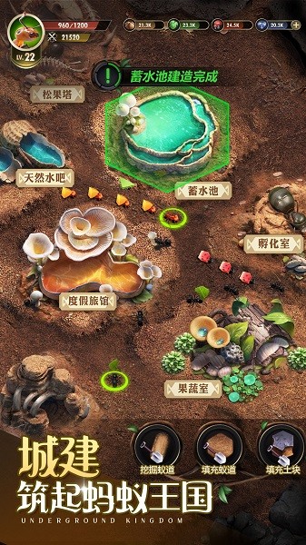 小小蚁国37版截图1