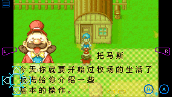 牧场物语矿石镇的伙伴们男孩版截图4