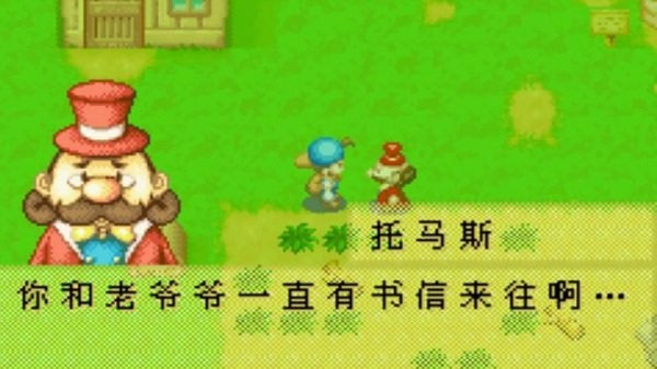 牧场物语矿石镇的伙伴们男孩版截图3