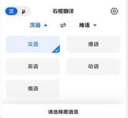 石榴翻译维语