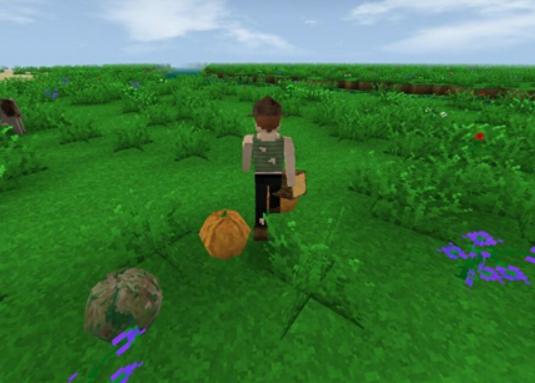 生存战争2.4中文版