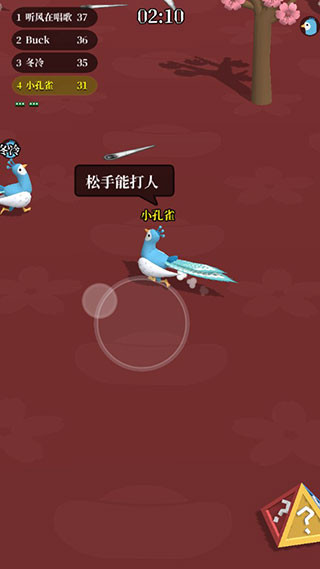 孔雀拔毛大赛