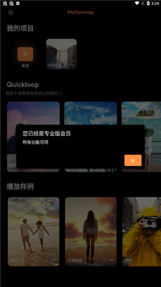 Motionleap小狐狸