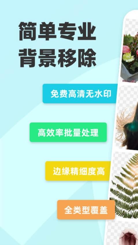椰子设计截图3