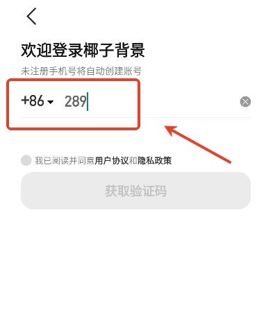 椰子设计