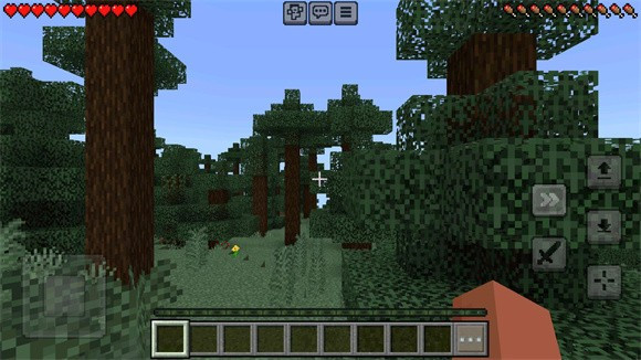 我的世界国际服1.21