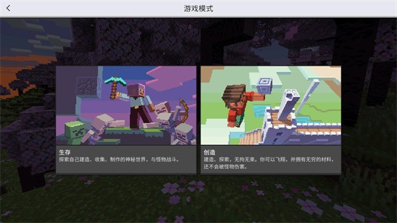 我的世界国际服1.21