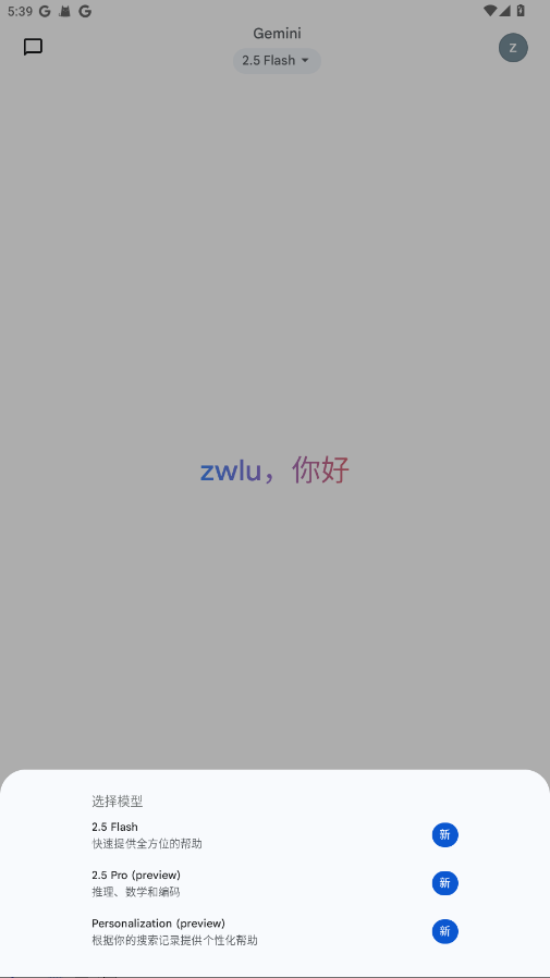 Google Gemini截图1