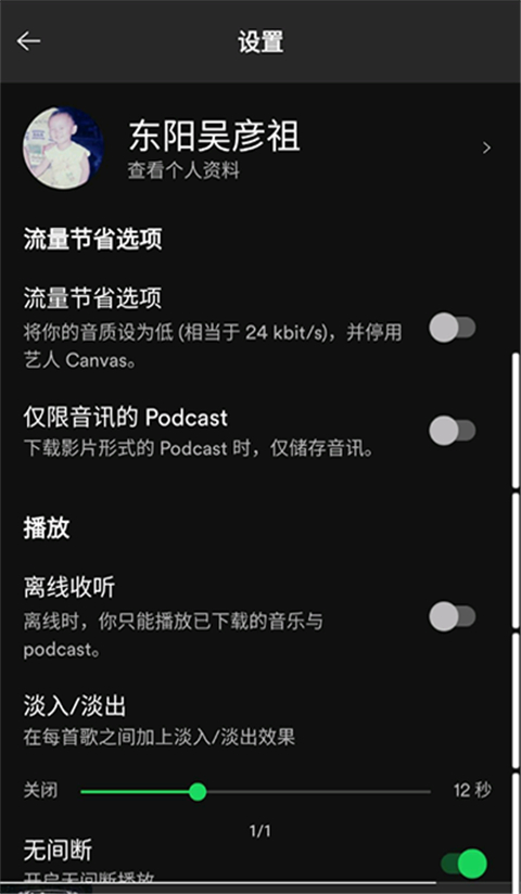 声破天spotify截图4