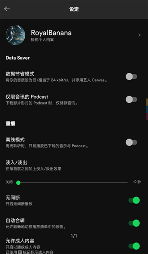 声破天spotify截图5