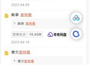 大力盘搜索引擎