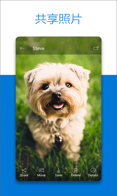 onedrive移动端截图3