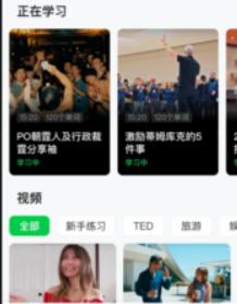 灵格AI英语软件