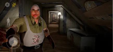 肉先生
