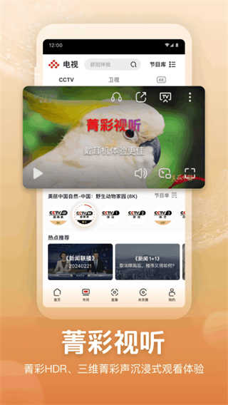 央视频截图4