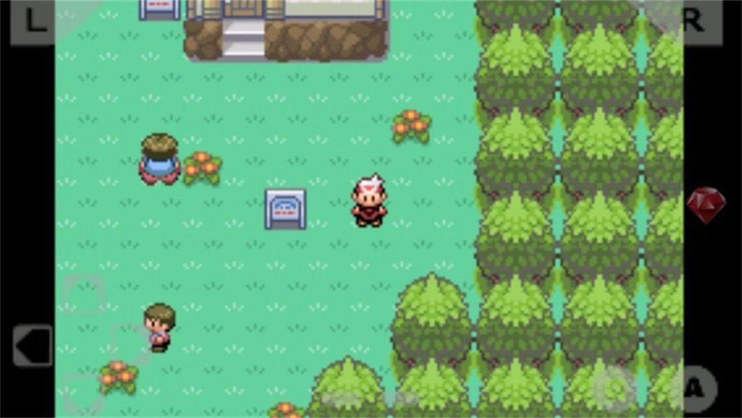 口袋妖怪漆黑的魅影5.0无限可能截图4