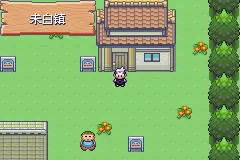 口袋妖怪漆黑的魅影5.0无限可能