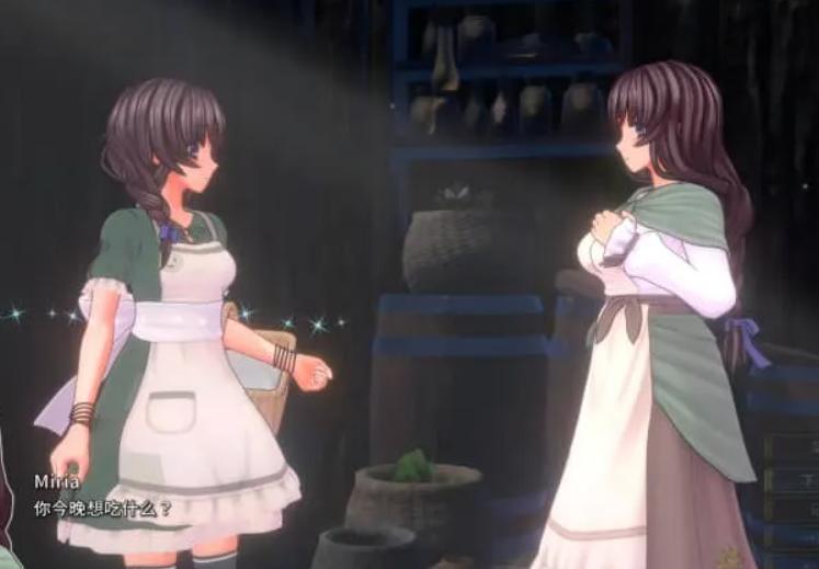 圣骑士莉卡物语冷狐版