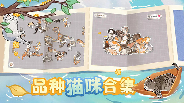 挤在一起的猫猫拼图