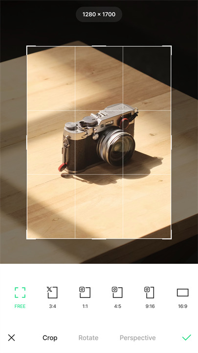 linecamera小熊相机中文版截图3