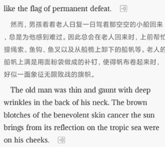 英语小说阅读小报