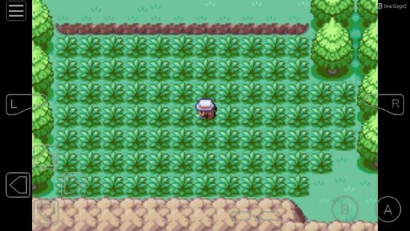 口袋妖怪叶绿中文珍藏版截图1