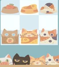 管道猫咪