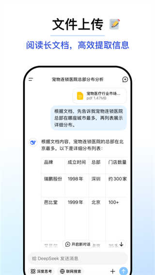 DeepSeek截图4