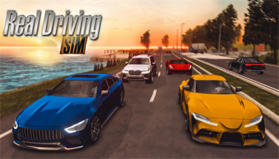 真实驾驶模拟器汉化版截图1