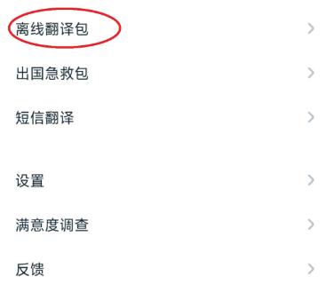 有道翻译官软件