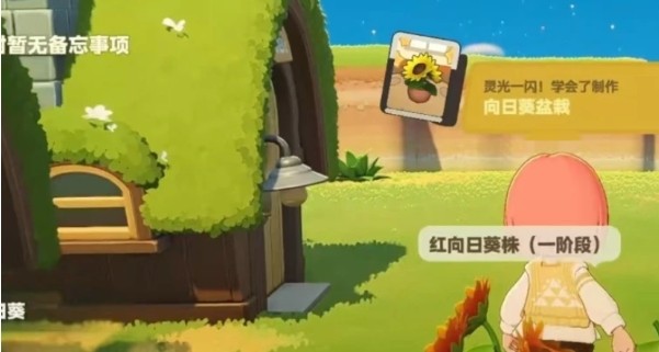 星布谷地抓守宫方法