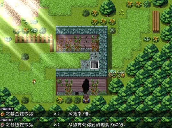 blacksouls1汉化版截图3