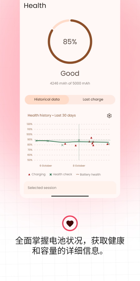 Battery Guru中文版截图4
