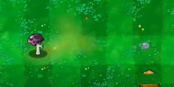 植物大战僵尸胆小菇之梦截图3