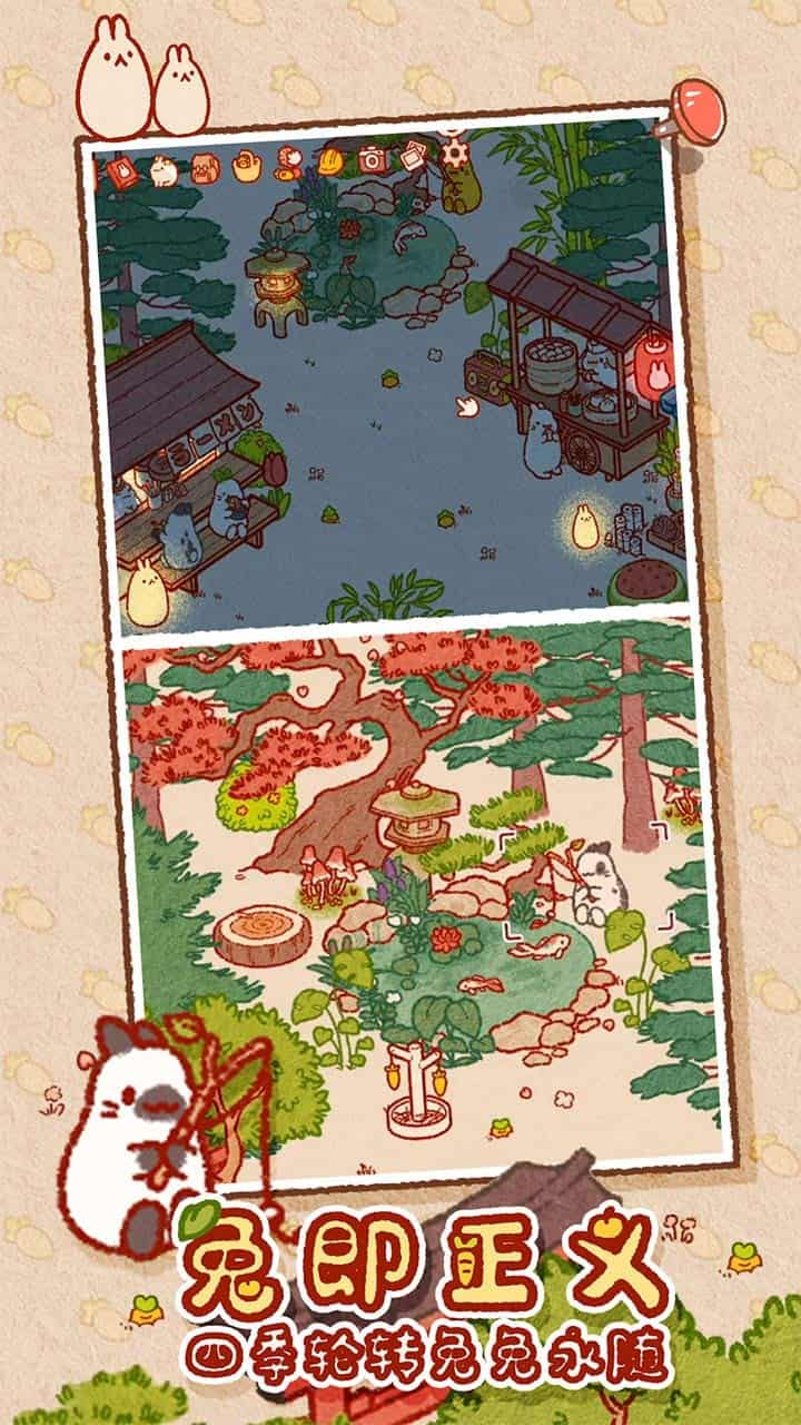 兔兔岛截图3